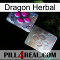 Dragon Herbal 38